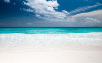 Key Biscayne Luxury Market Update — October 2026